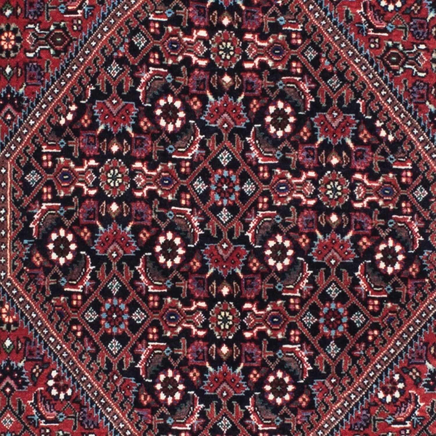 Tapis de couloir Tapis persan - Bidjar - 211 x 77 cm - bleu foncé