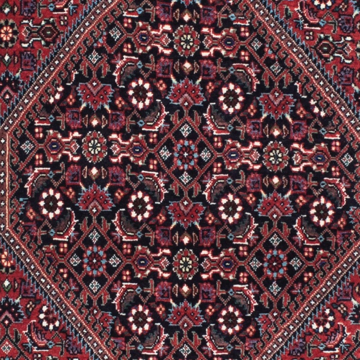 Tapis de couloir Tapis persan - Bidjar - 211 x 77 cm - bleu foncé