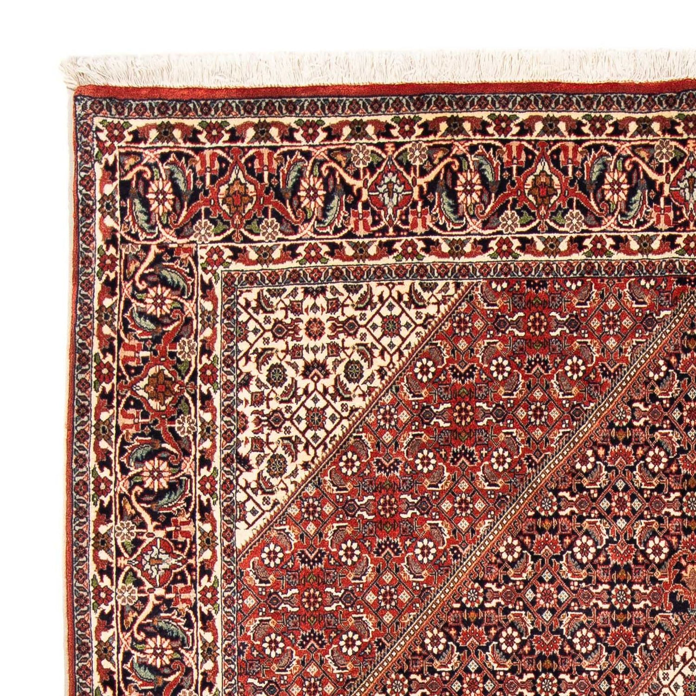 Tapis de Bidjar Tapis 245x174cm - Tapis persan