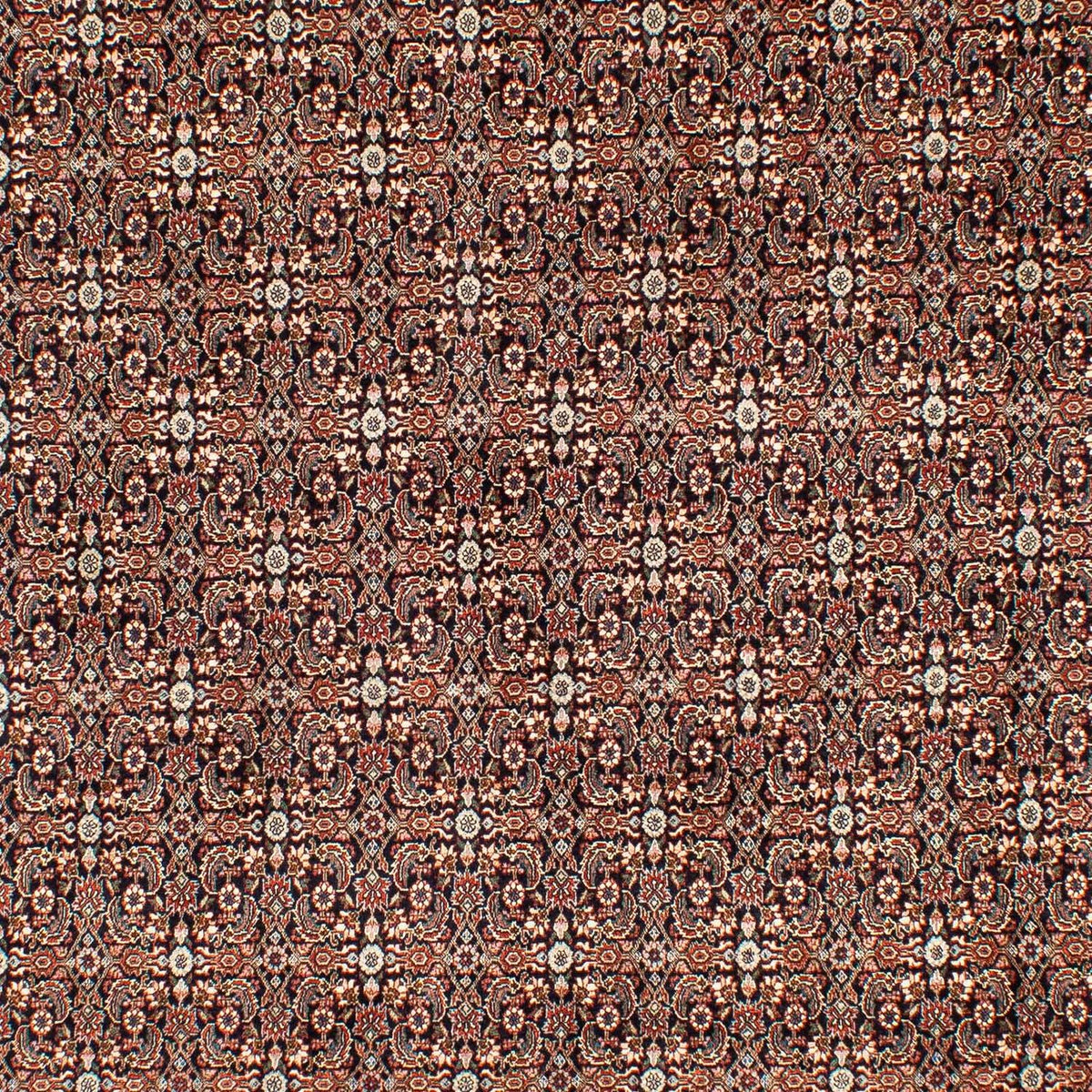 Tapis persan - Bidjar - 300 x 204 cm - multicolore