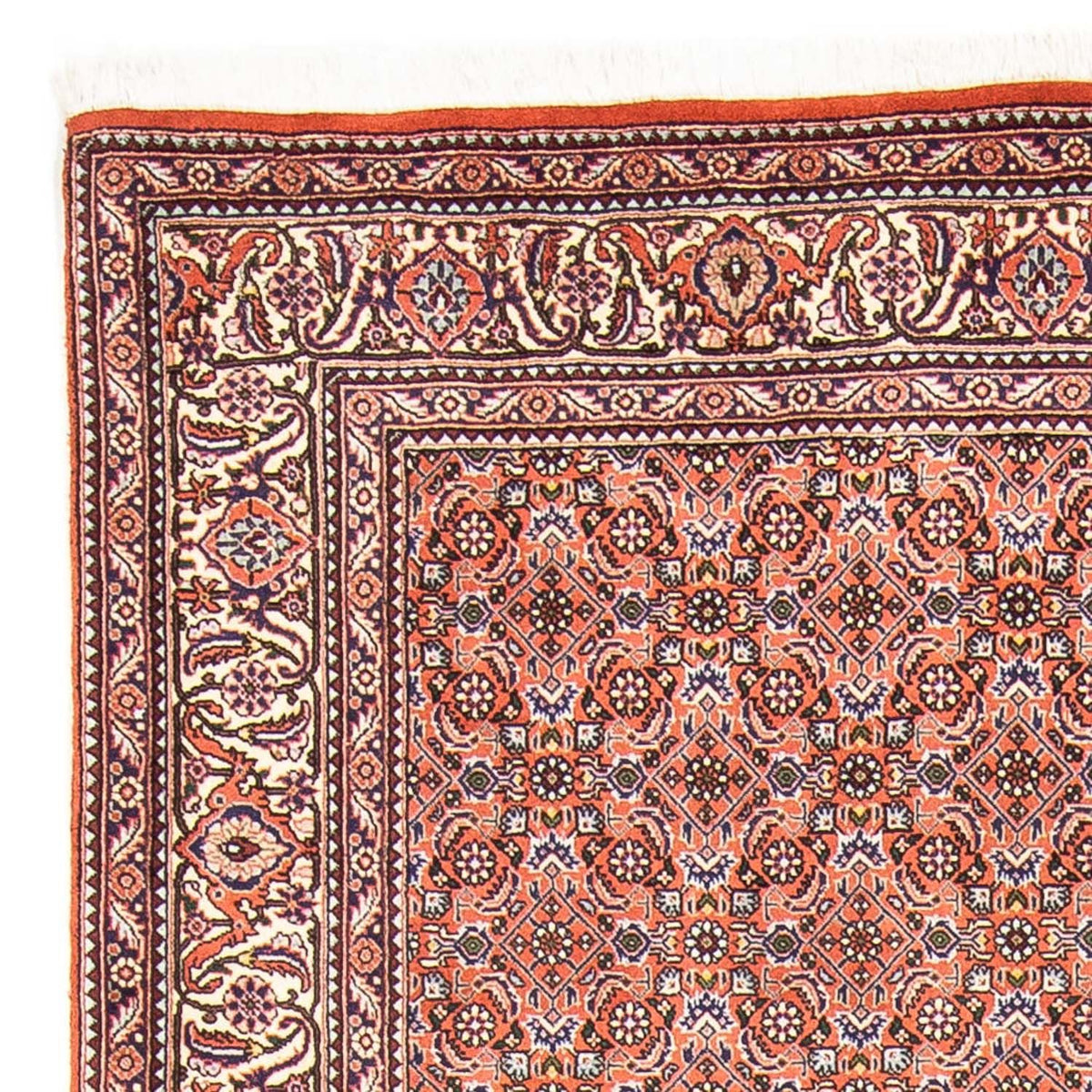 Tapis persan - Bidjar - 239 x 168 cm - rouge clair