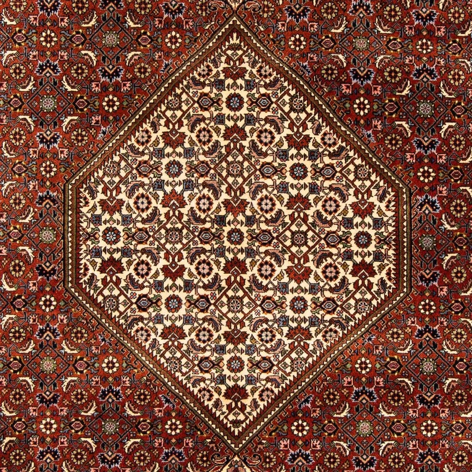 Tapis persan - Bidjar - 240 x 165 cm - marron