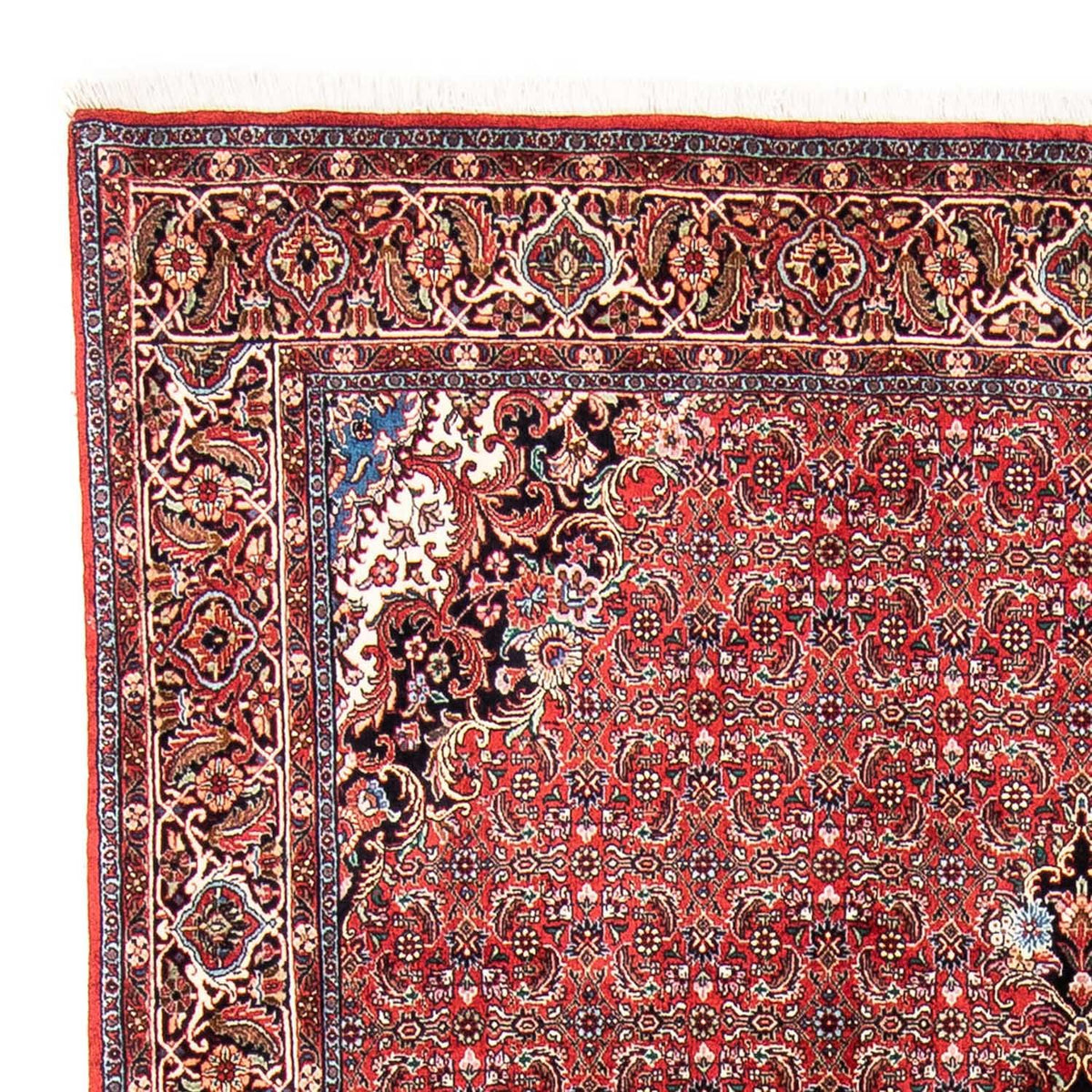 Tapis persan - Bidjar - 233 x 166 cm - rouge
