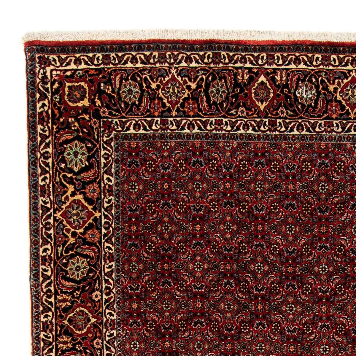 Tapis de Bidjar Tapis 200x246cm - Tapis persan