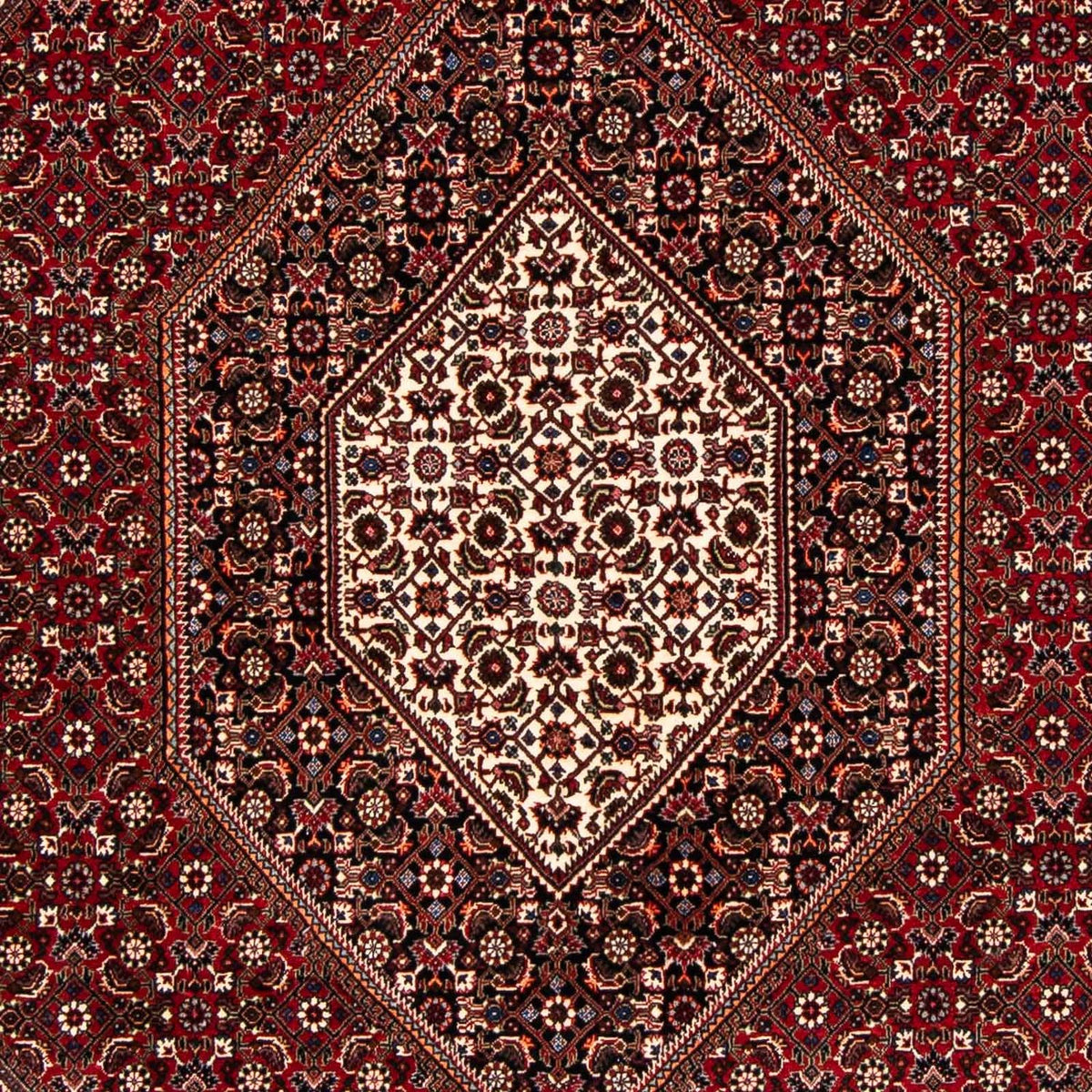 Tapis persan - Bidjar - 238 x 165 cm - rouge foncé