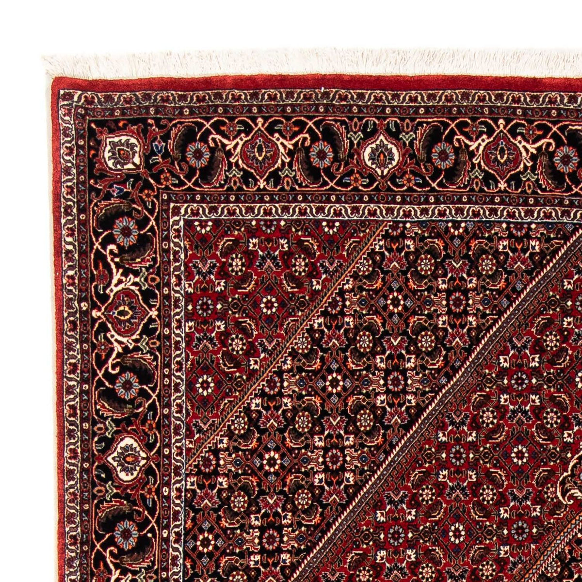 Tapis persan - Bidjar - 238 x 165 cm - rouge foncé