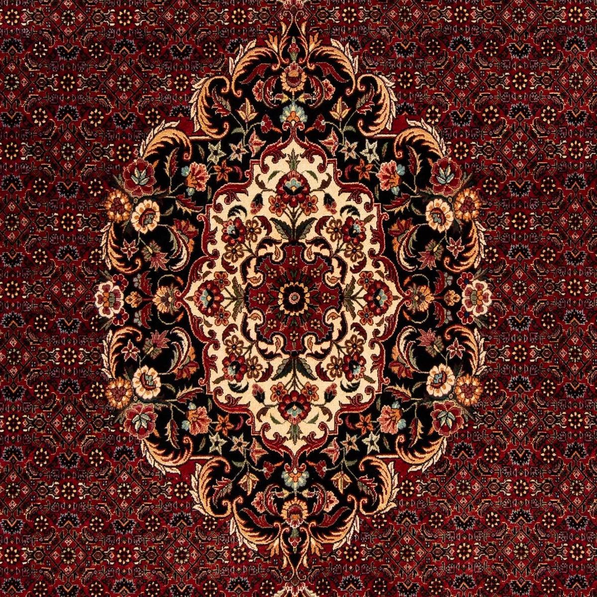 Tapis persan - Bidjar - 257 x 203 cm - rouge foncé