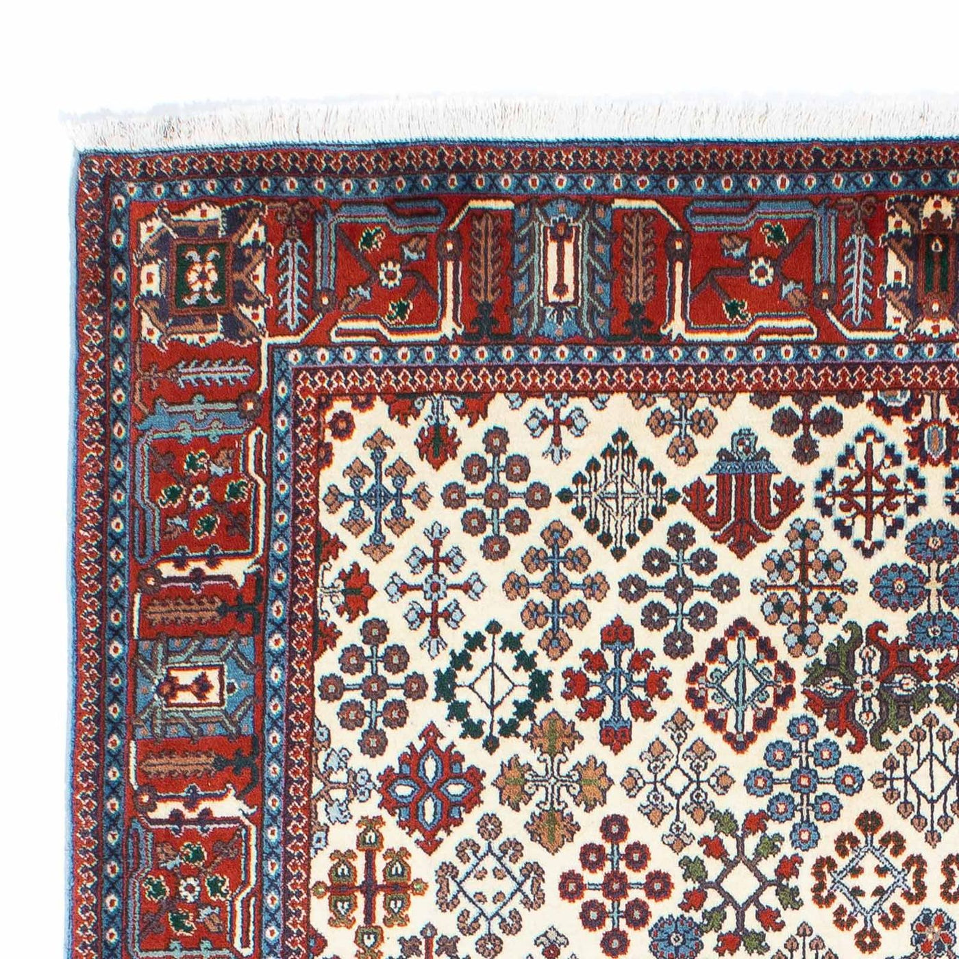 Kashkuli Tapis 241x159cm - Tapis persan