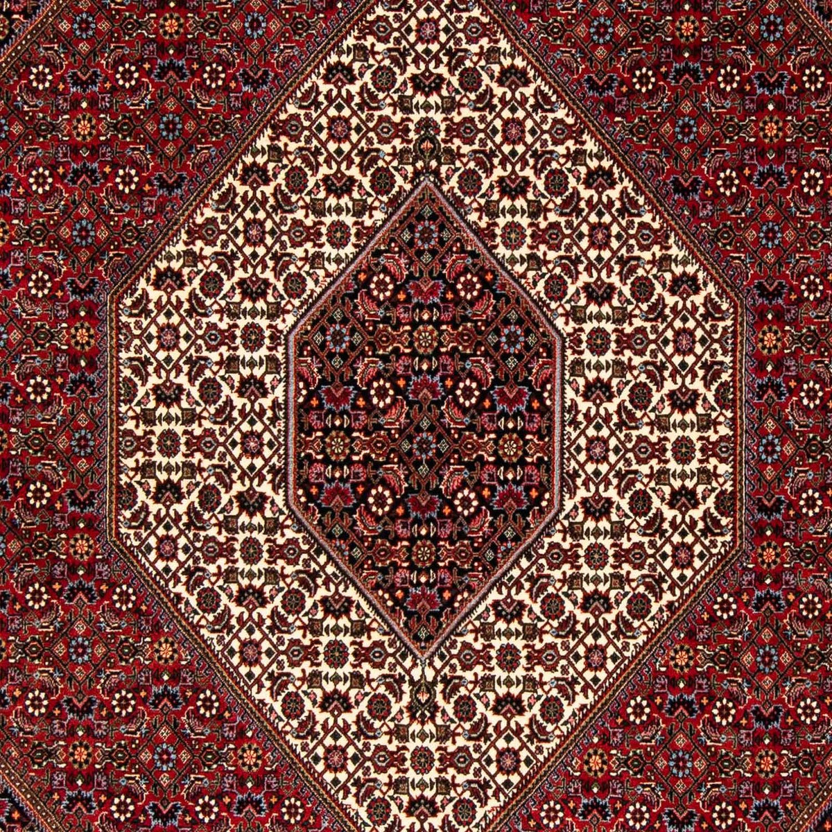 Tapis persan - Bidjar - 251 x 176 cm - rouge foncé