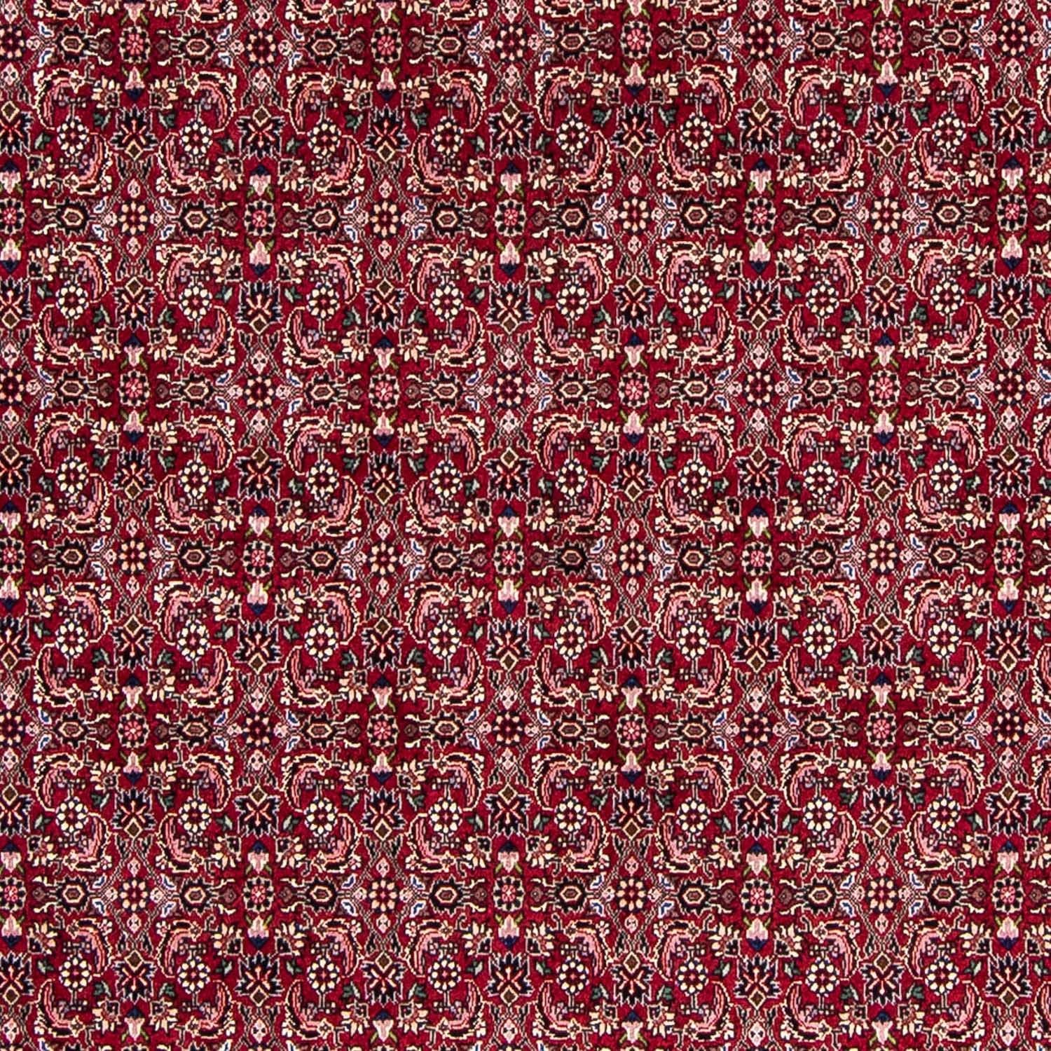Tapis persan - Bidjar - 245 x 174 cm - rouge