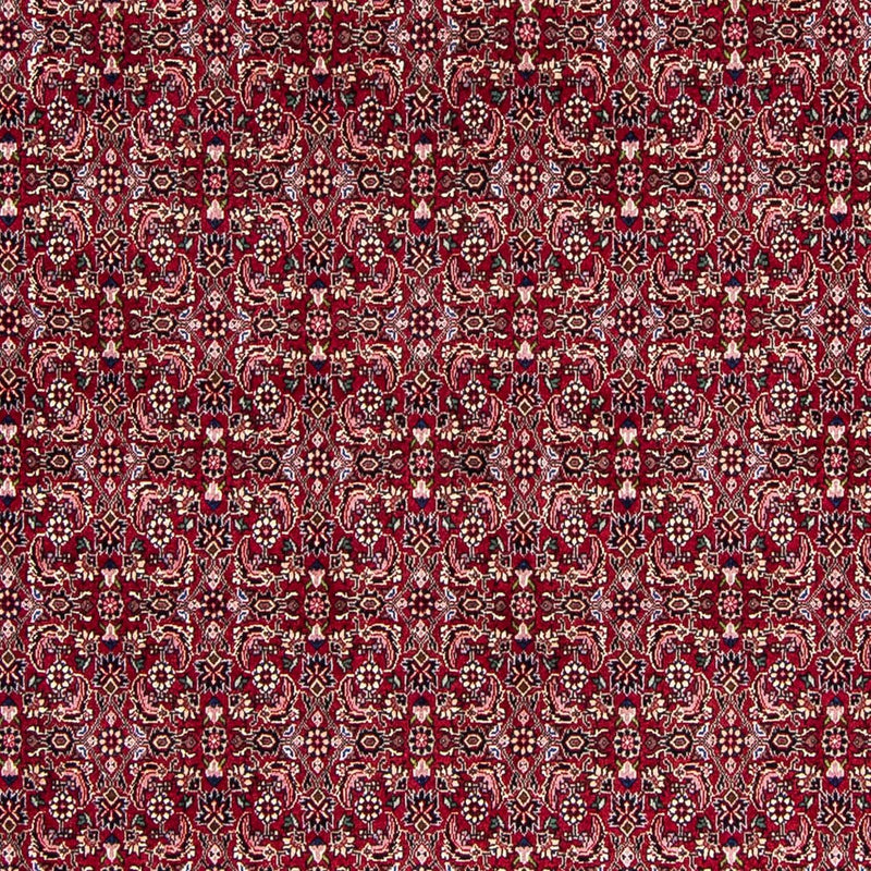 Tapis persan - Bidjar - 245 x 174 cm - rouge