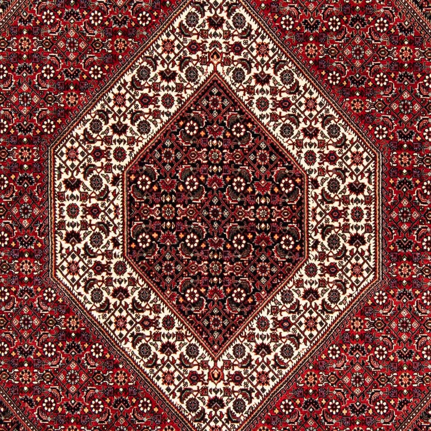 Tapis persan - Bidjar - 240 x 172 cm - rouge foncé