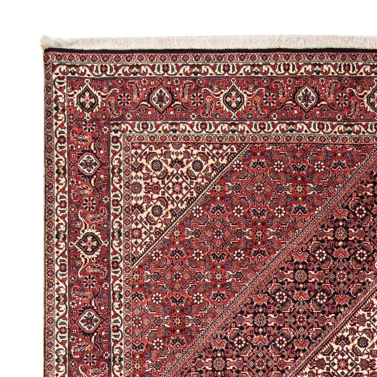 Tapis persan - Bidjar - 242 x 168 cm - rouge clair