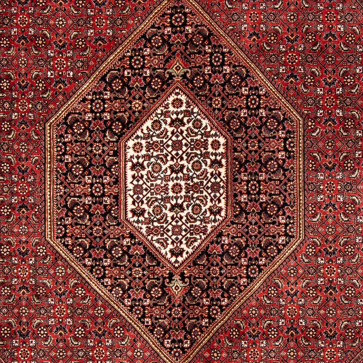 Tapis persan - Bidjar - 240 x 171 cm - rouge foncé