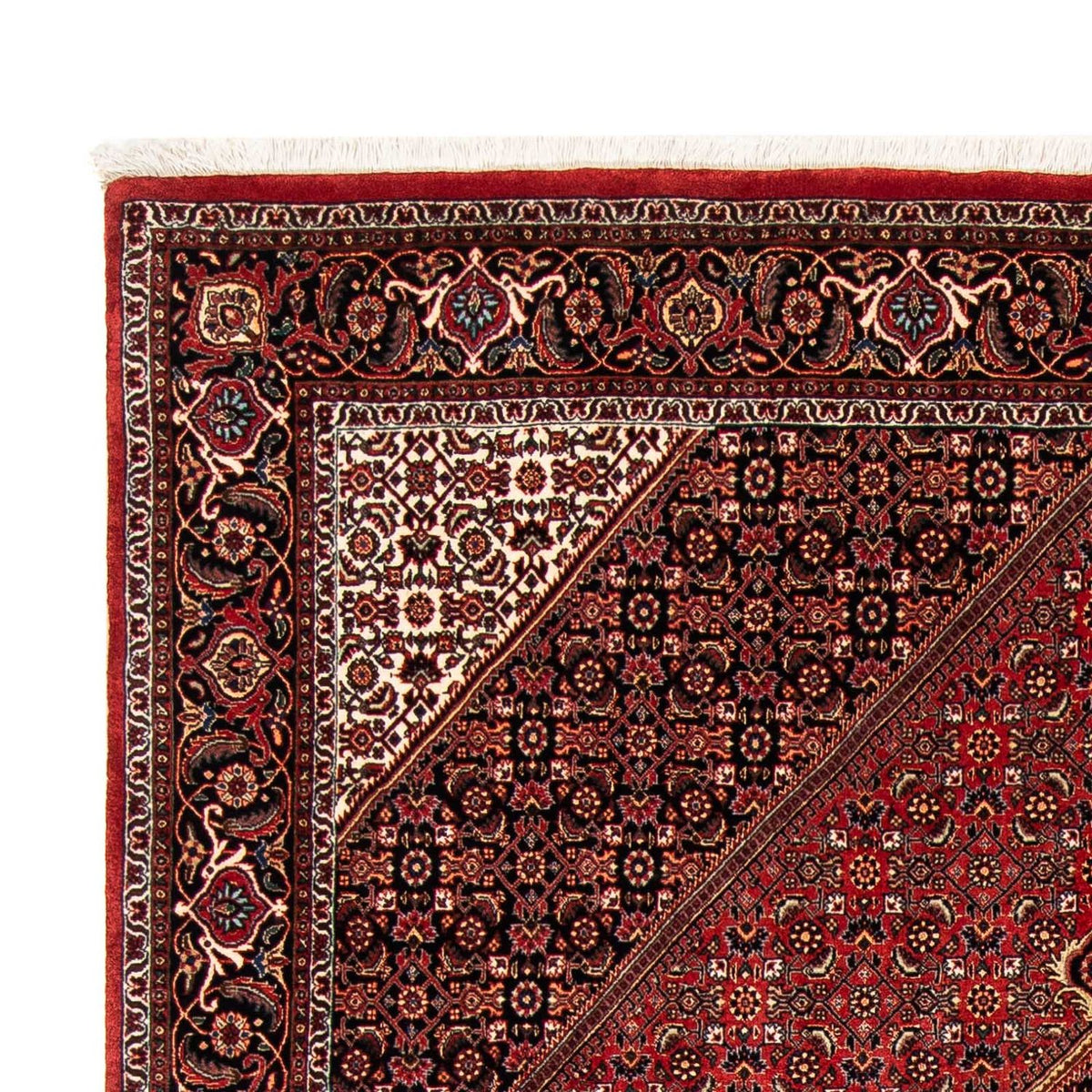 Tapis persan - Bidjar - 240 x 171 cm - rouge foncé