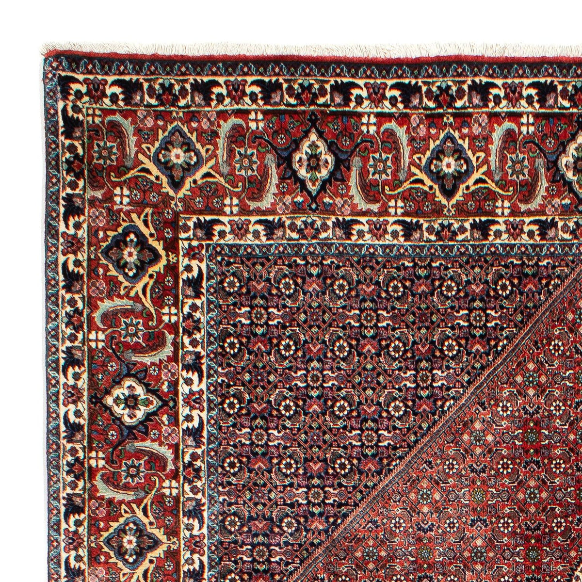 Tapis de Bidjar Tapis 208x301cm - Tapis persan