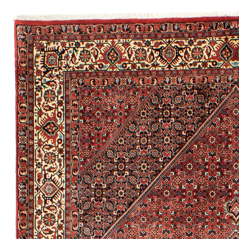 Tapis persan - Bidjar - 300 x 203 cm - rouge clair