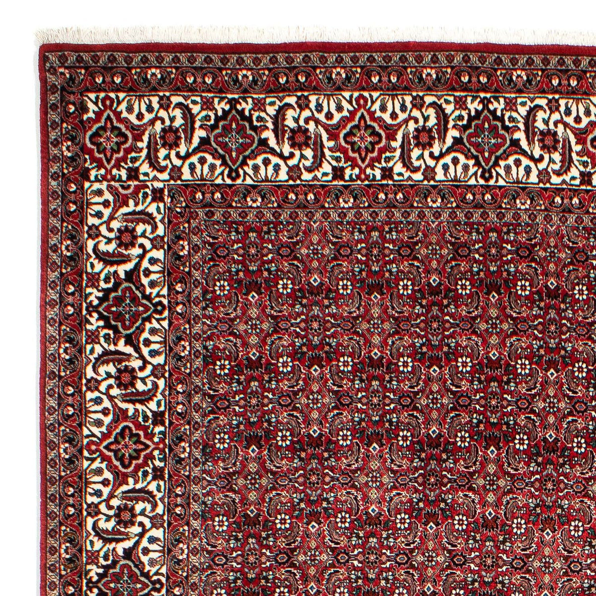 Tapis de Bidjar Tapis 209x309cm - Tapis persan