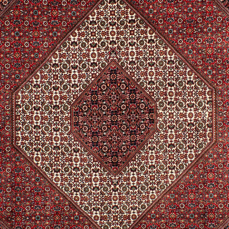 Tapis persan - Bidjar - 300 x 203 cm - rouge foncé