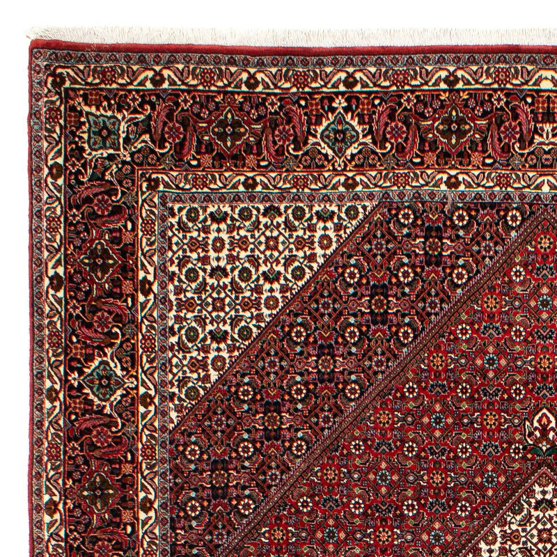Tapis persan - Bidjar - 300 x 203 cm - rouge foncé
