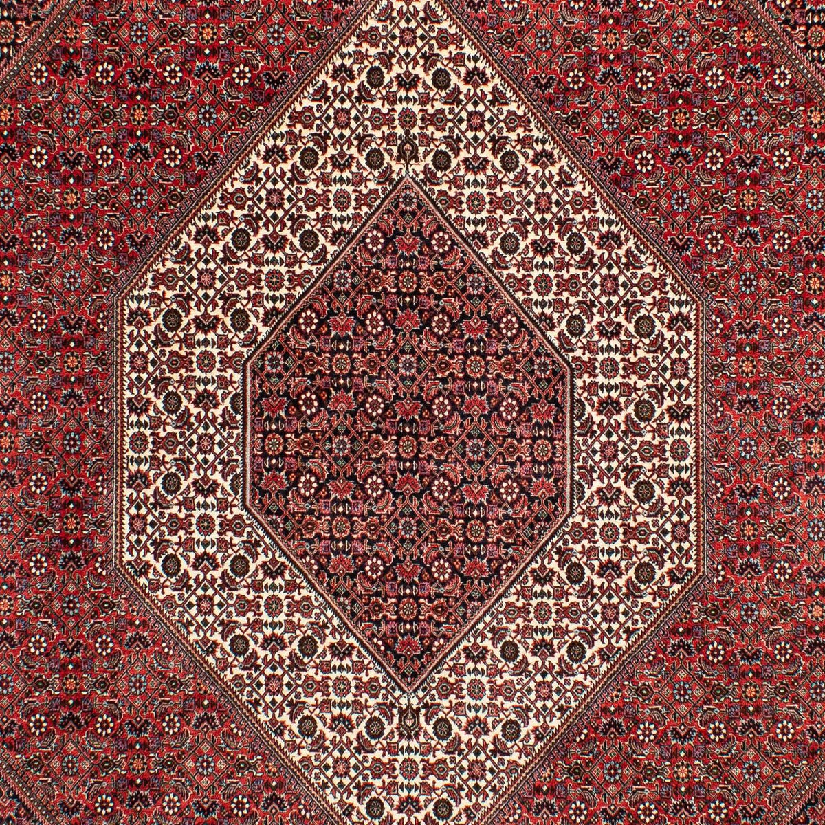 Tapis persan - Bidjar - 305 x 203 cm - rouge foncé