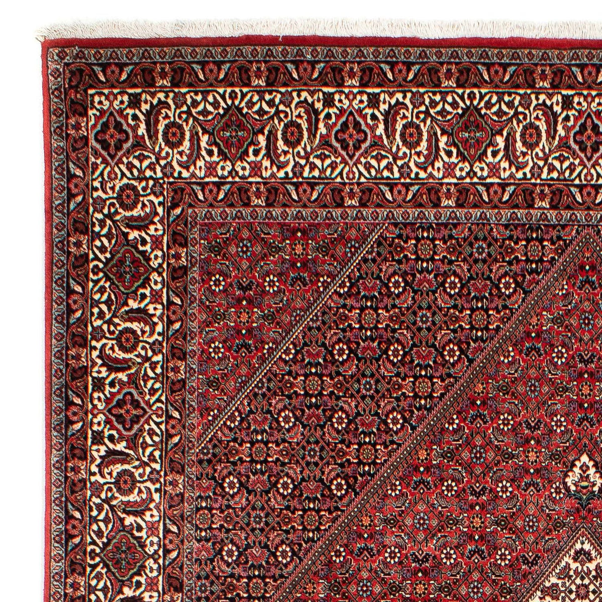 Tapis de Bidjar Tapis 203x305cm - Tapis persan