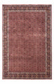 Bidjar - Takab Tapis 306x204cm - Tapis persan