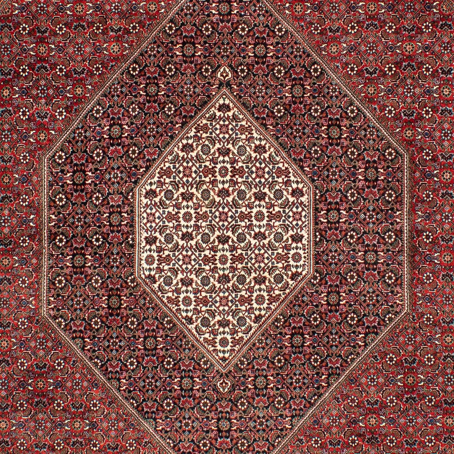 Tapis persan - Bidjar - 309 x 208 cm - rouge foncé