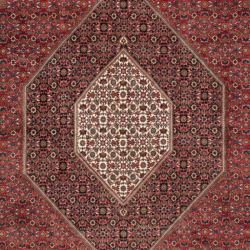 Tapis persan - Bidjar - 309 x 208 cm - rouge foncé