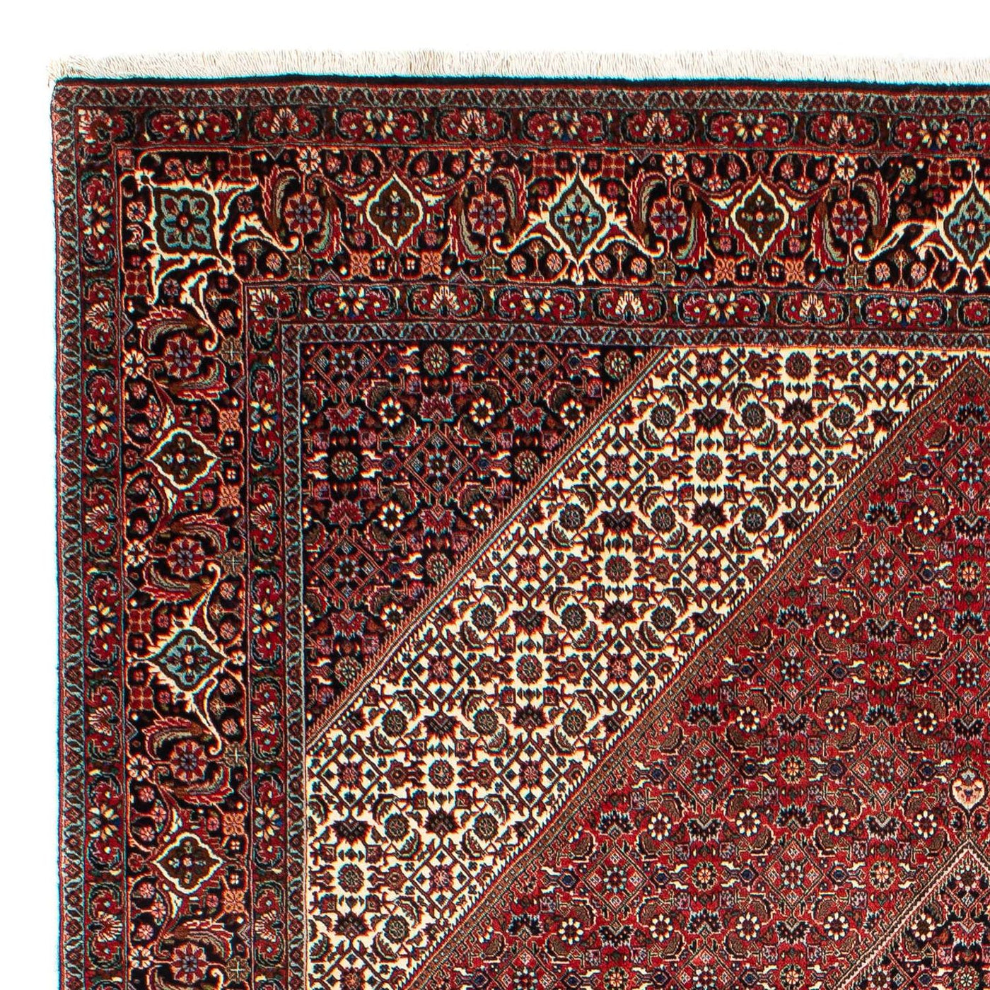 Tapis de Bidjar Tapis 309x208cm - Tapis persan