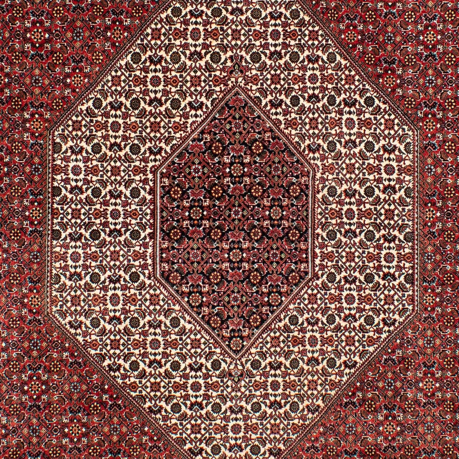 Tapis persan - Bidjar - 317 x 201 cm - rouge foncé