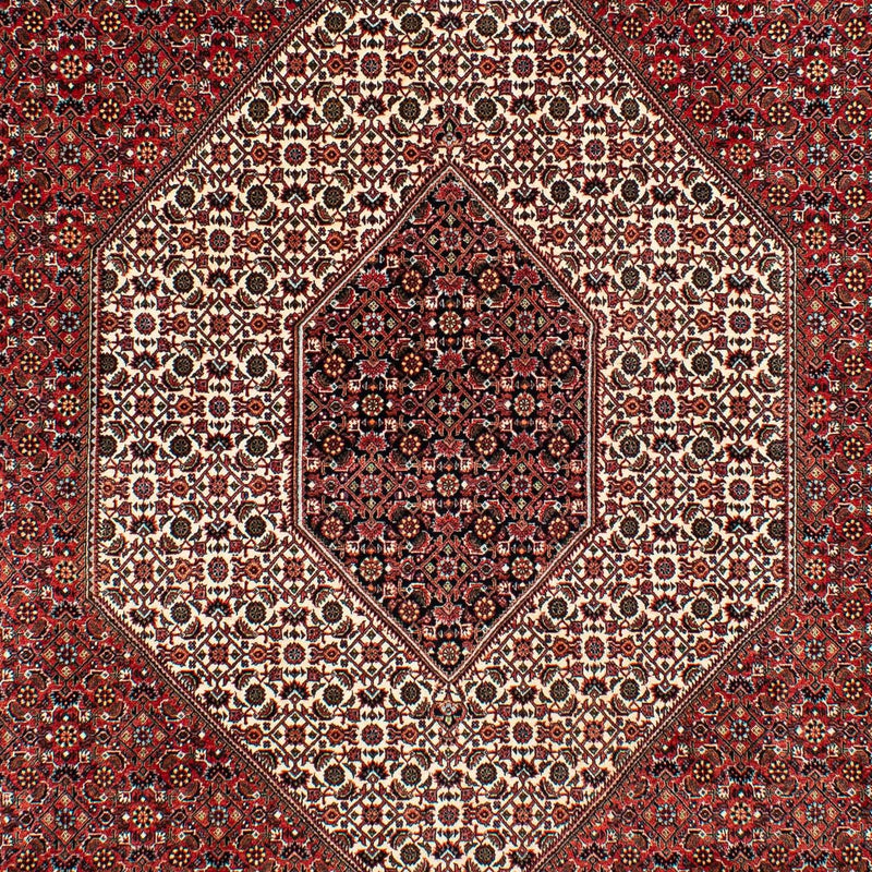 Tapis persan - Bidjar - 317 x 201 cm - rouge foncé