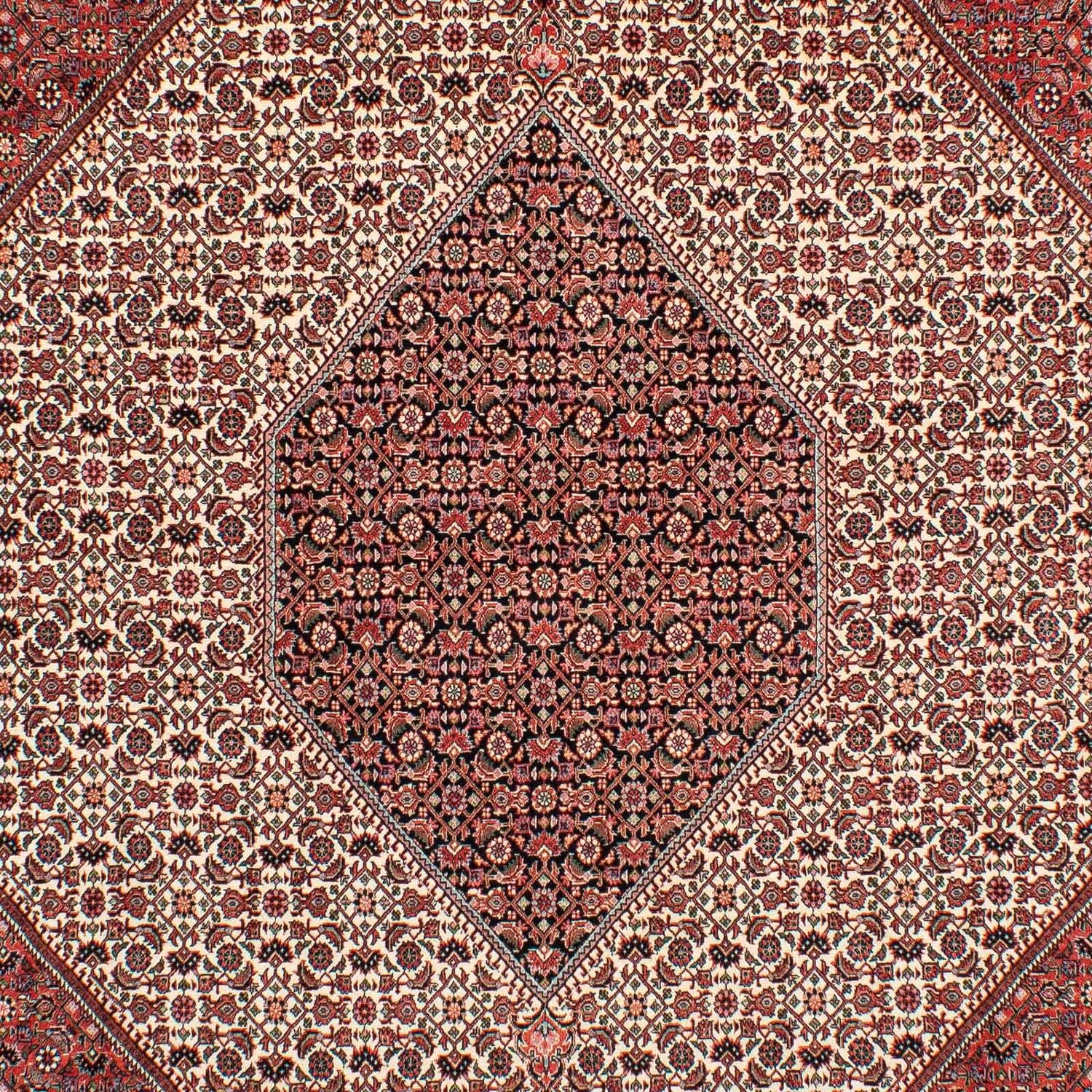 Tapis persan - Bidjar - 289 x 204 cm - rouge foncé