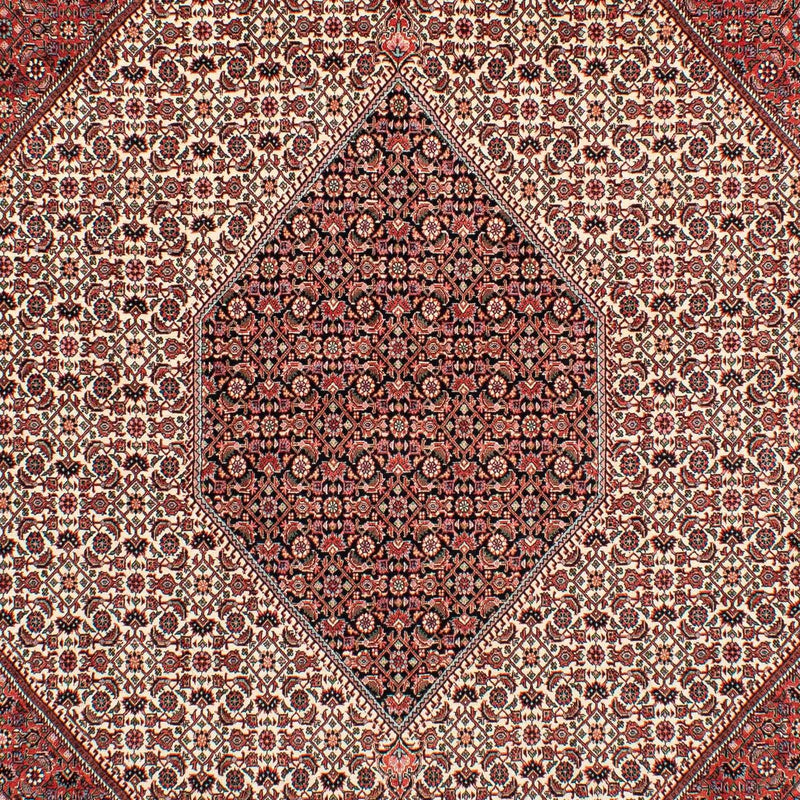 Tapis persan - Bidjar - 289 x 204 cm - rouge foncé
