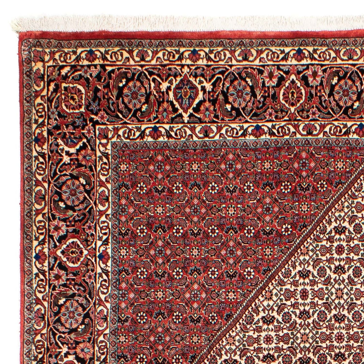 Tapis persan - Bidjar - 289 x 204 cm - rouge foncé