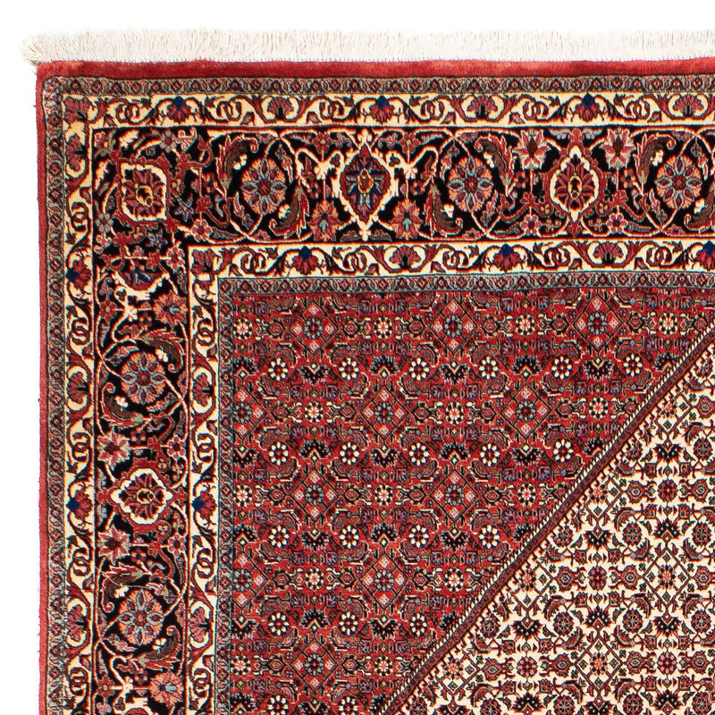 Tapis persan - Bidjar - 289 x 204 cm - rouge foncé