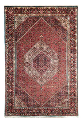 Tapis persan - Bidjar - 311 x 205 cm - rouge clair