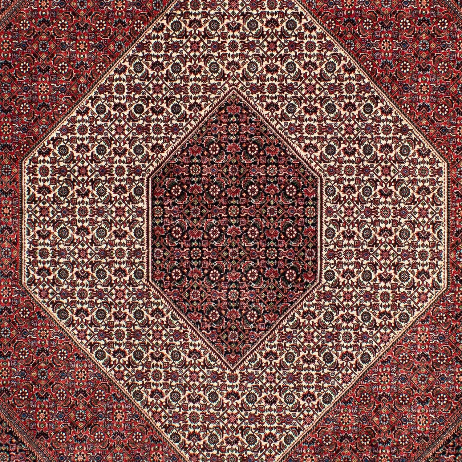 Tapis persan - Bidjar - 300 x 206 cm - rouge foncé