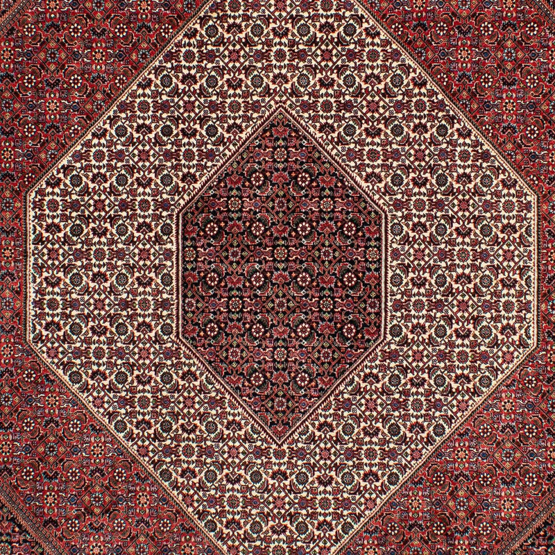 Tapis persan - Bidjar - 300 x 206 cm - rouge foncé