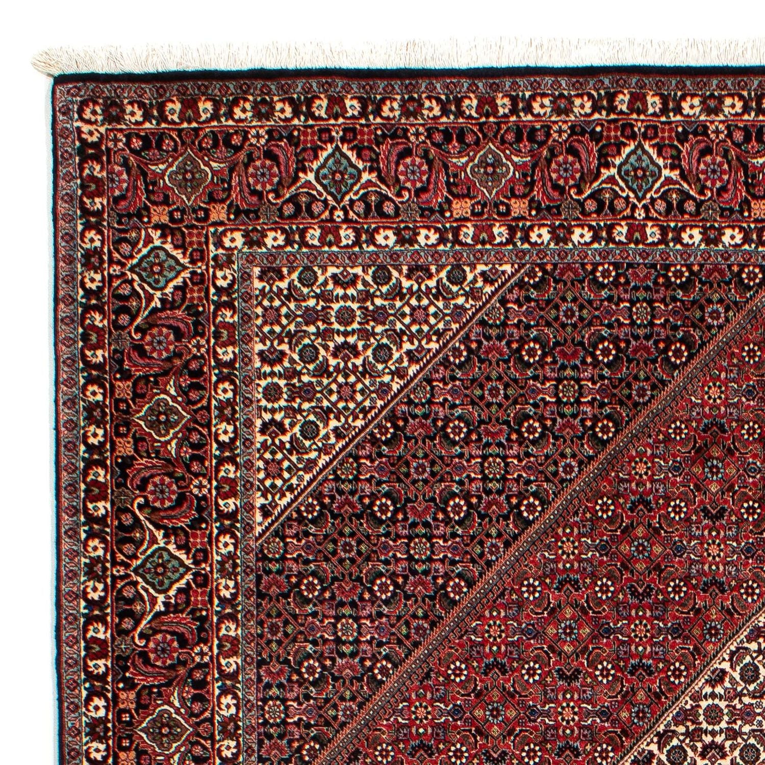 Tapis persan - Bidjar - 300 x 206 cm - rouge foncé