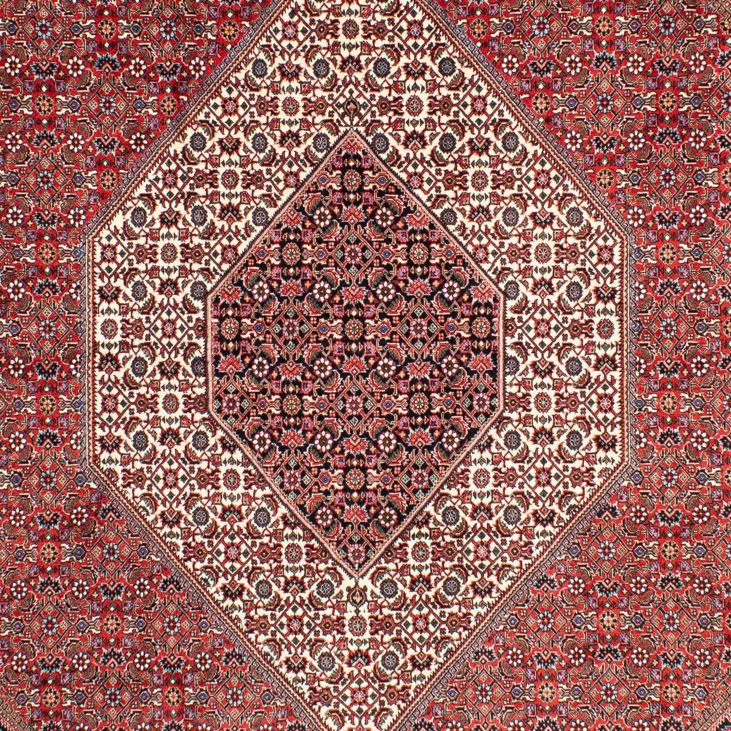 Tapis persan - Bidjar - 300 x 203 cm - rouge clair