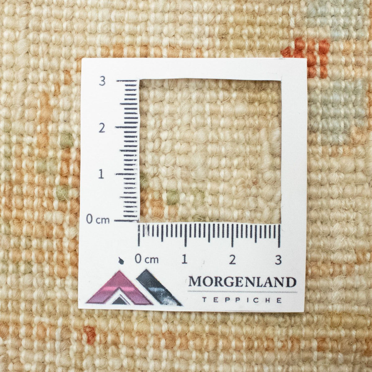 Tapis Ziegler - 209 x 146 cm - beige