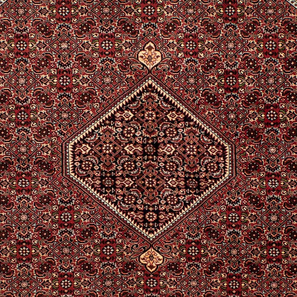 Tapis persan - Bidjar - 242 x 170 cm - marron