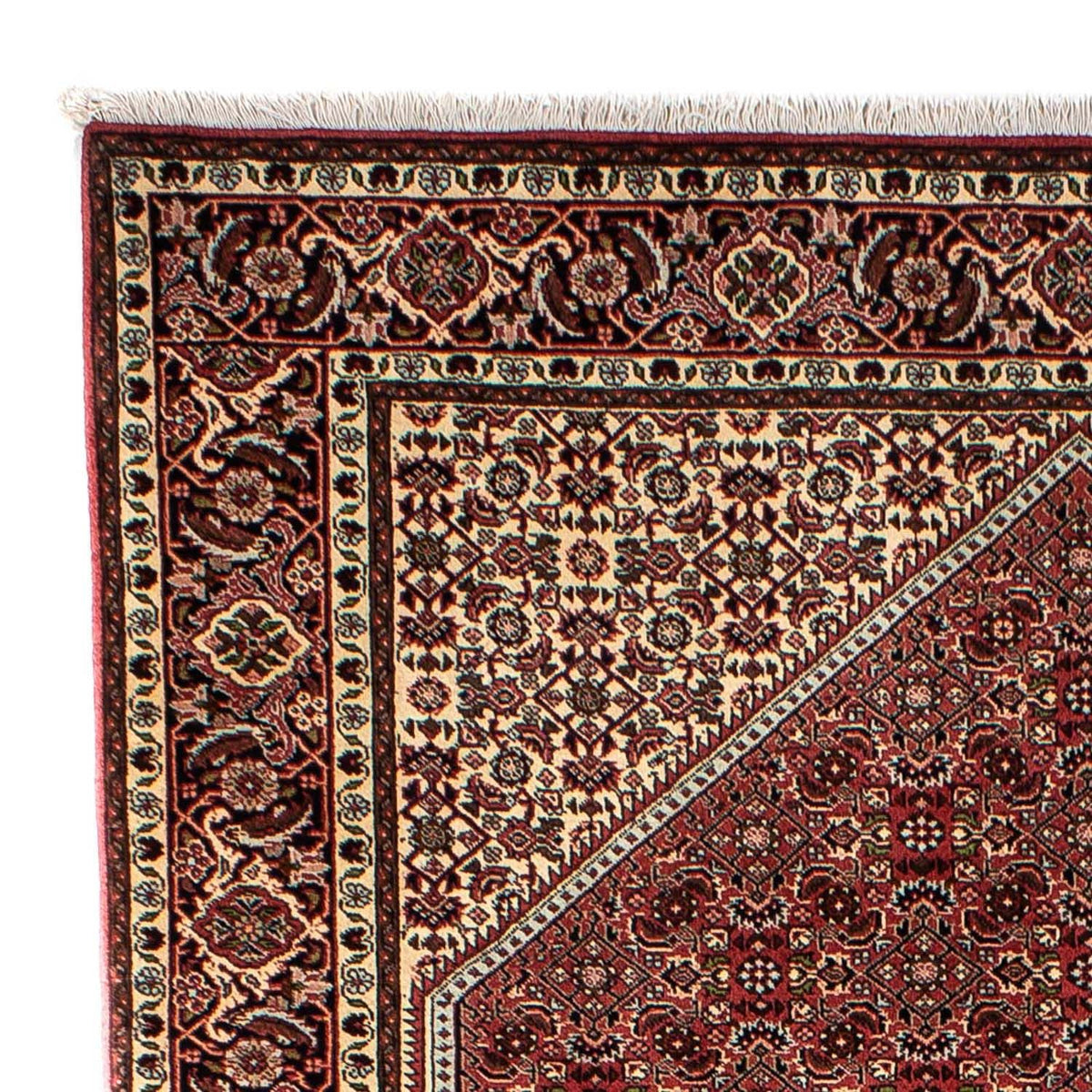 Tapis persan - Bidjar - 242 x 170 cm - marron