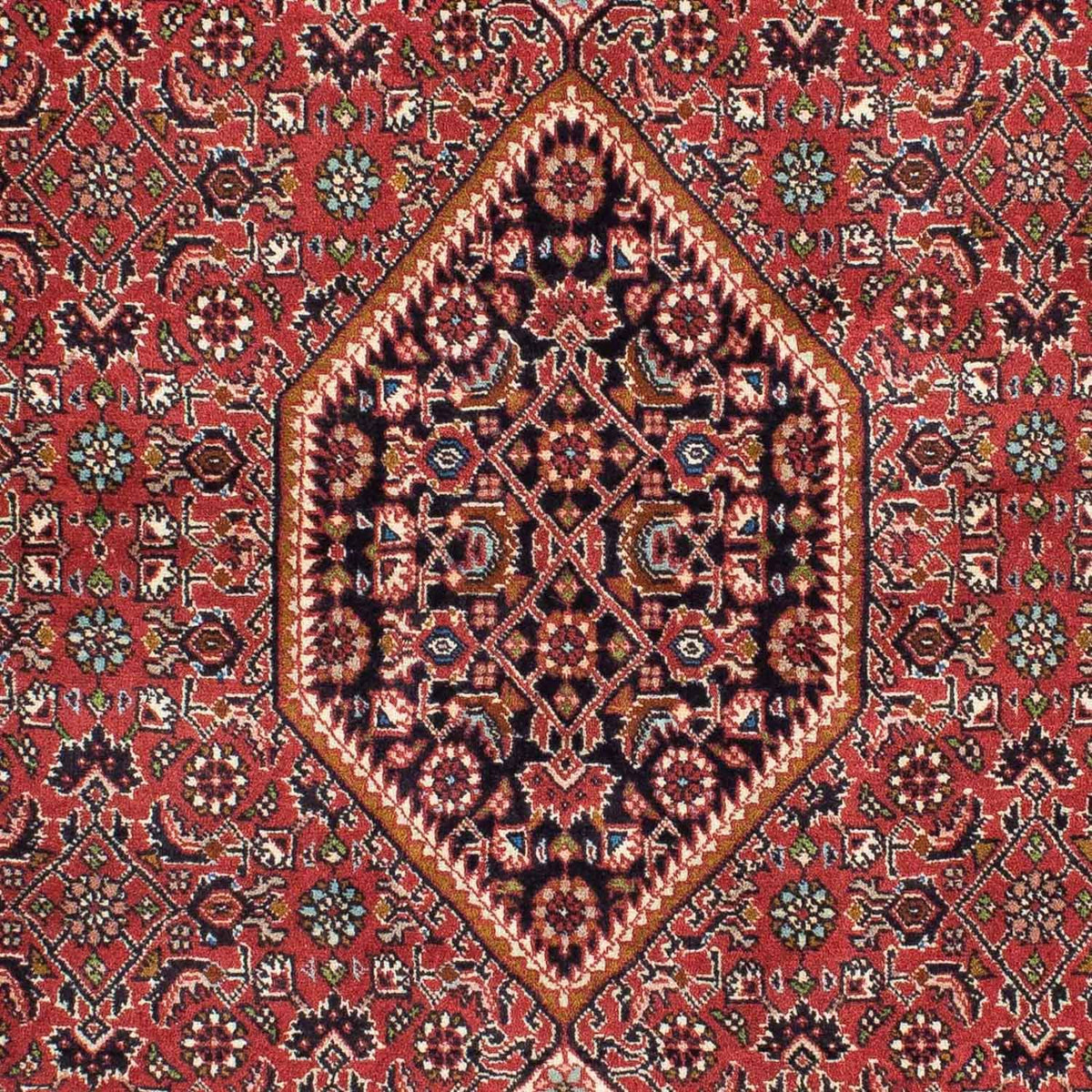 Tapis persan - Bidjar - 224 x 141 cm - rouge clair