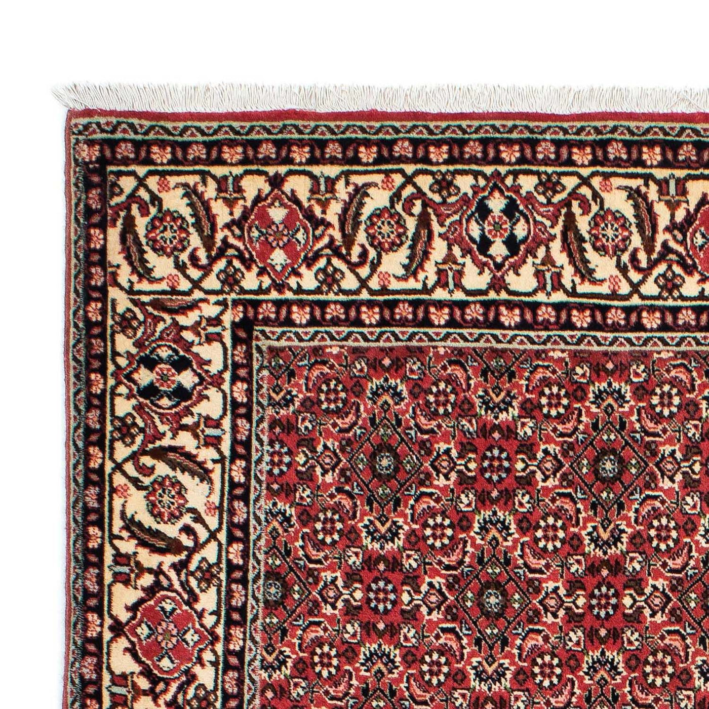 Bidjar - Zanjan Tapis 208x139cm - Tapis persan