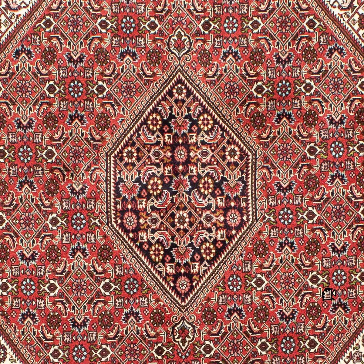 Tapis persan - Bidjar - 245 x 172 cm - rouge clair