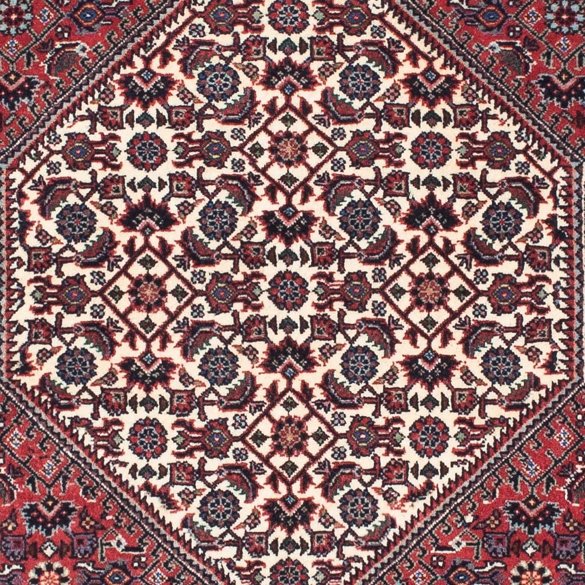 Tapis de couloir Tapis persan - Bidjar - 206 x 75 cm - rouge