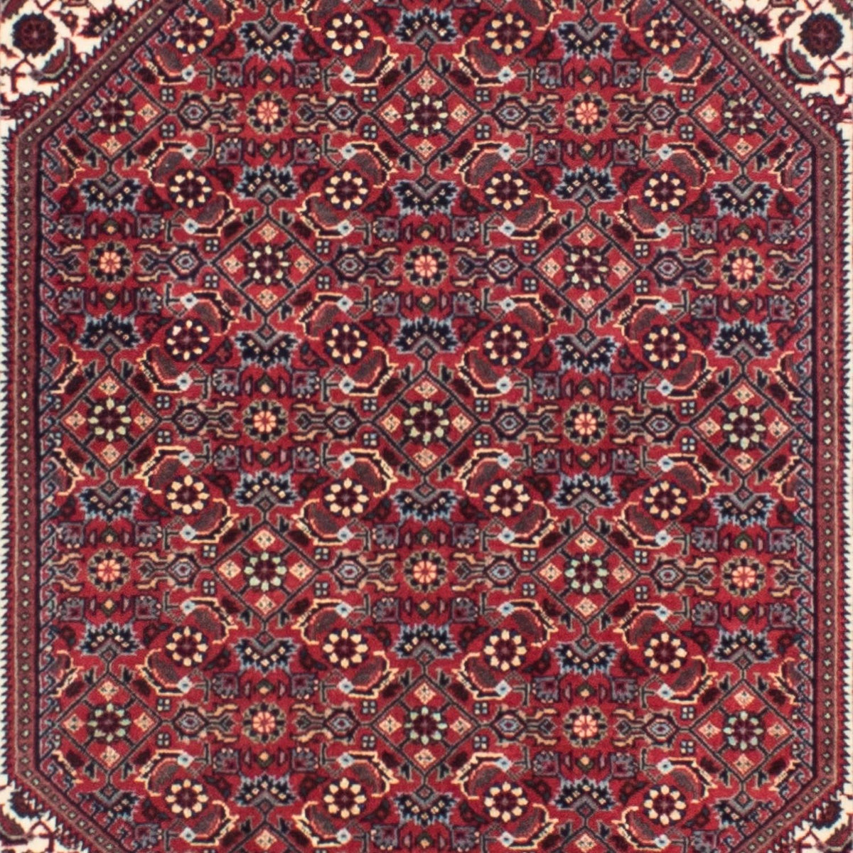 Tapis de couloir Tapis persan - Bidjar - 313 x 83 cm - rouge foncé