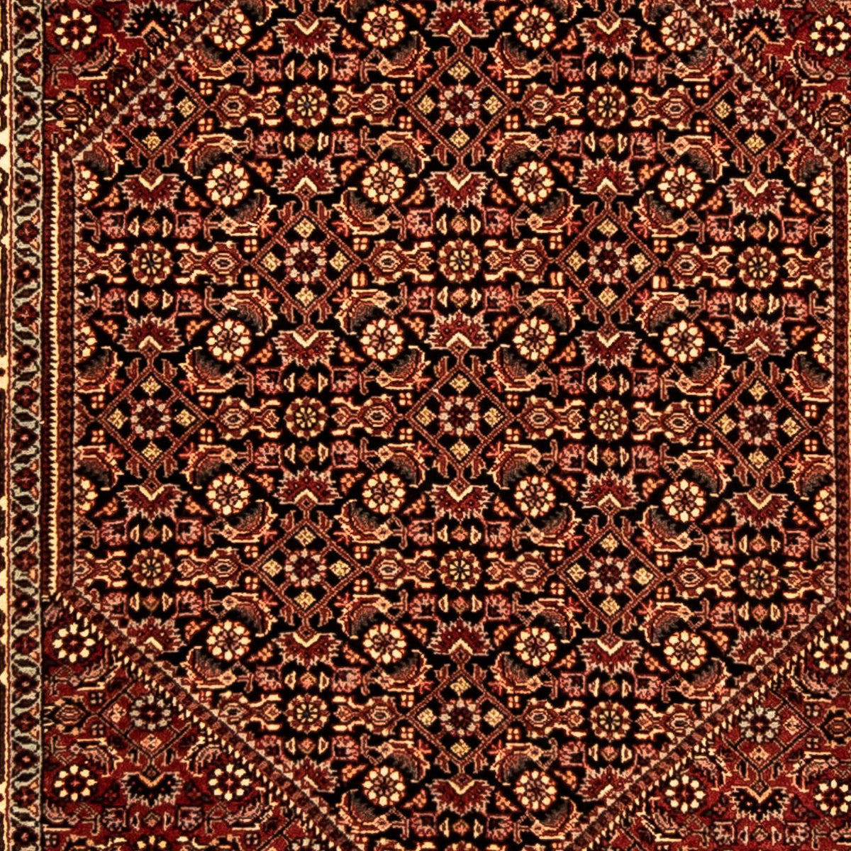 Tapis de couloir Tapis persan - Bidjar - 307 x 84 cm - multicolore